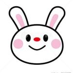 保護中: R７　うさぎぐみ🐇