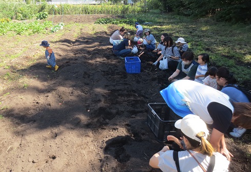 にこにこの日　いもほり🥔、園庭遊び