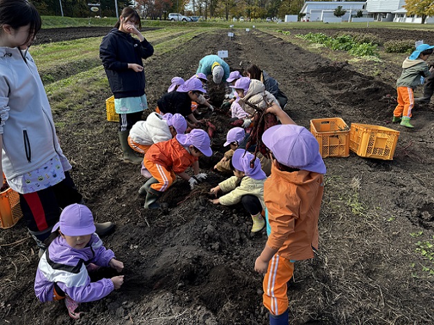 さつまいも収穫🍠＆大豆収穫